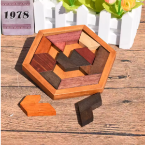 Wooden IQ Puzzle Game