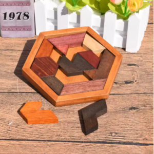 Wooden IQ Puzzle Game