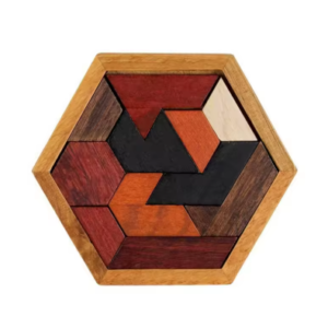 Wooden IQ Puzzle Game